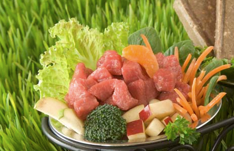 BARF-Rohfütterung mit Fleisch, Gemüse, Obst und Kräutern